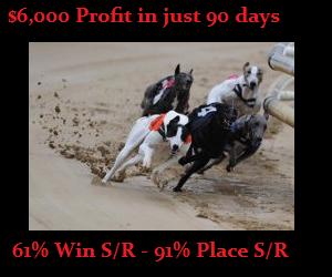 Greyhound Racing System for Betfair