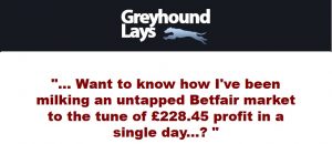 Greyhound Lay System